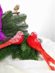 Птички декоративные